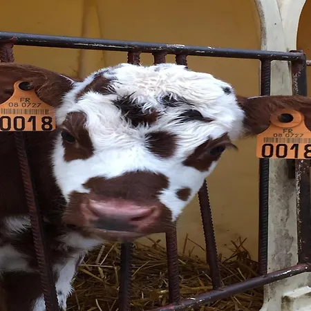 Quaint In Tailly Дом отдыха Barricourt